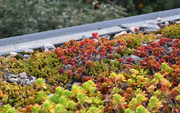 the cost of Halabezack green roof installation