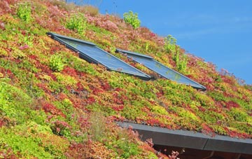 Halabezack living roof systems